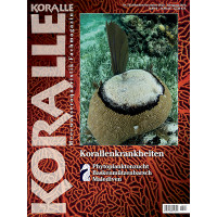 KORALLE 143 - Korallenkrankheiten (Oktober/November 2023)