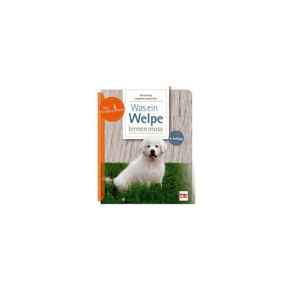 Die Hundeschule - Was ein Welpe lernen muss