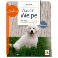 Die Hundeschule - Was ein Welpe lernen muss