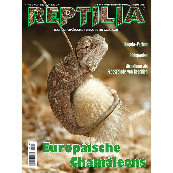 Reptilia 163 - Europäische Chamäleons (Oktober/November 2023)
