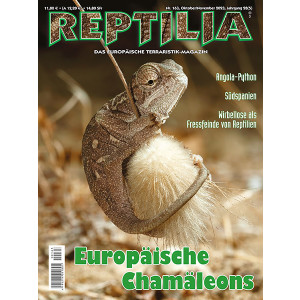 Reptilia 163 - Europäische Chamäleons...