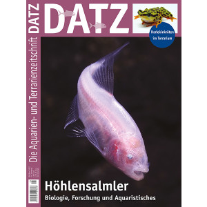DATZ 2023 - 05 Höhlensalmler (Oktober/November)