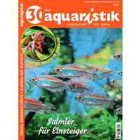 aquaristik 6/2023