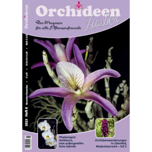 Orchideen Zauber 6 (November/Dezember 2023)