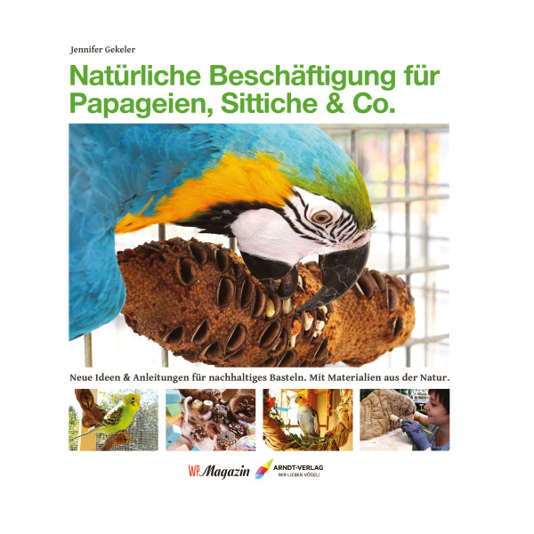 Natürliche Beschäftigung für Papageien, Sitti
