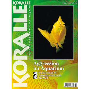 KORALLE 81 - Aggression im Aquarium (Juni/Juli 2013)
