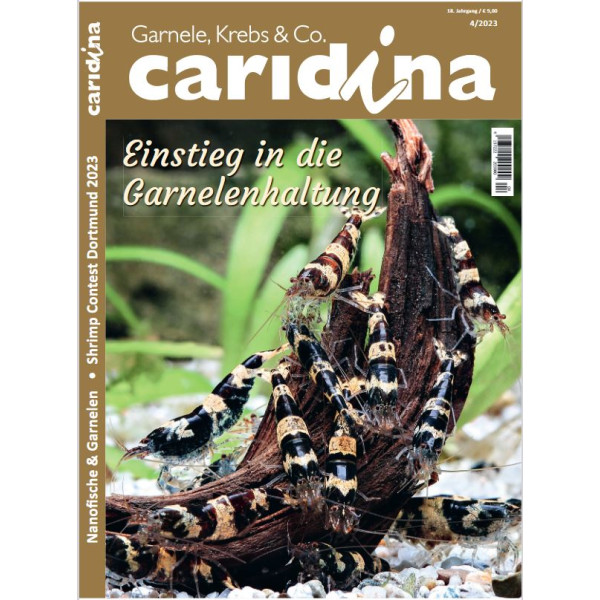 Caridina 4/2023 box