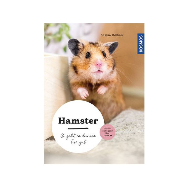 Hamster - So geht es deinem Tier gut