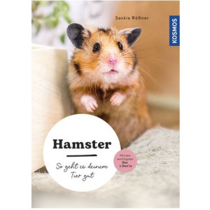Hamster - So geht es deinem Tier gut
