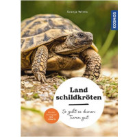Landschildkröten - So geht es deinem Tier gut