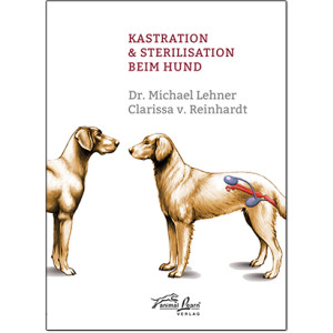 Kastration &amp; Sterilisation beim Hund