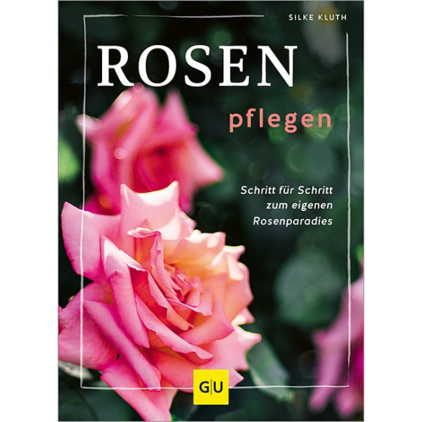 Rosen pflegen