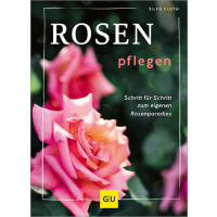 Rosen pflegen