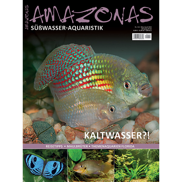 Amazonas 112 – Kaltwasser