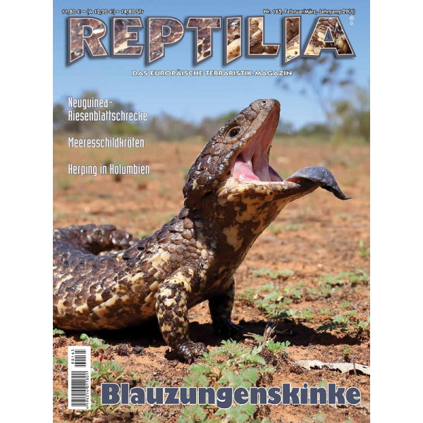 Reptilia 165 - Blauzungenskinke (Febr./März 2024)