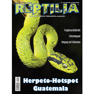 Kopie von Reptilia 166 - Herpeto-Hotspot Guatemala...