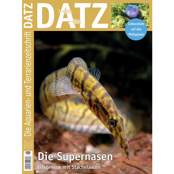 DATZ 2024 - 01 Die Supernasen (Febr./März 2024)
