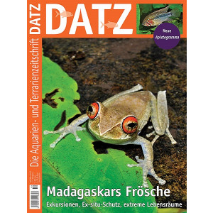 DATZ 2024 - 02 Madagaskars Frösche (April/Mai 2024)