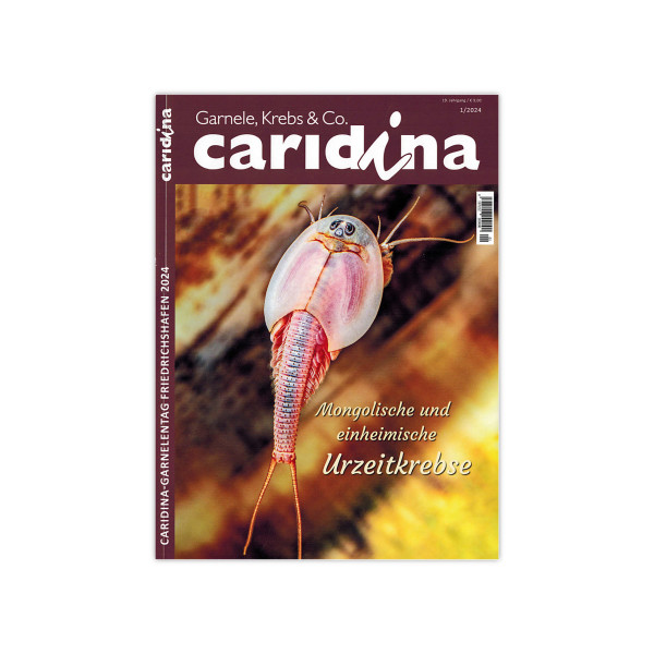 Caridina 1/2024