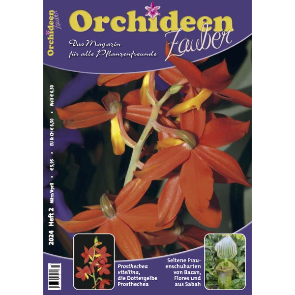 Orchideen Zauber 2 (März/April) 2024)