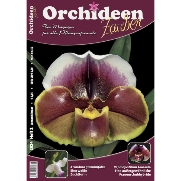 Orchideen Zauber 1 (Januar/Februar 2024)