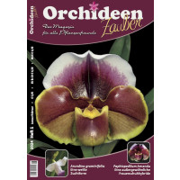 Orchideen Zauber 1 (Januar/Februar 2024)