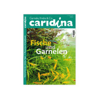 Caridina 2/2024