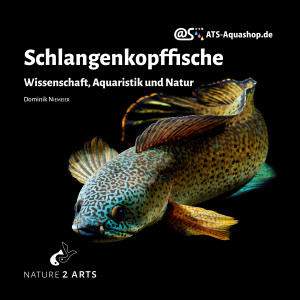 Schlangenkopffische - Wissenschaft, Aquaristik u. Natur