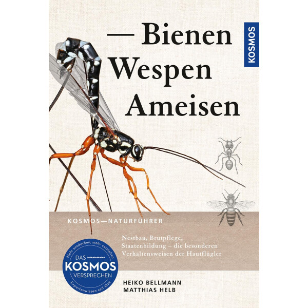 Bienen Wespen Ameisen