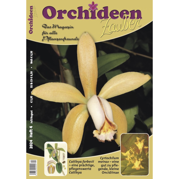 Orchideen Zauber 4 (Juli/August) 2024)