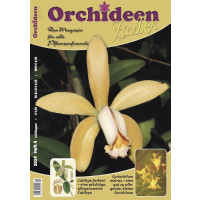 Orchideen Zauber 4 (Juli/August) 2024)