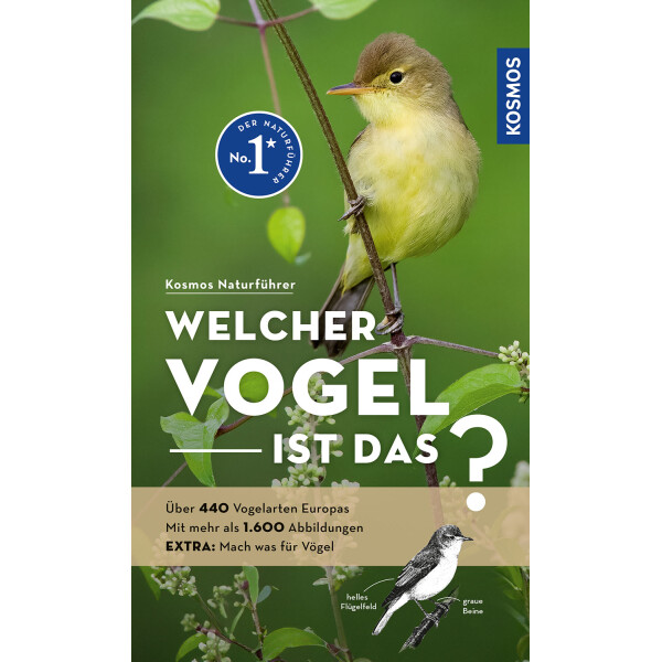 Welcher Vogel ist das?